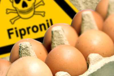 Ein Karton Eier mit Warnschild Fipronil im Hintergrund - chemische Flohmittel gegen Hühnerflöhe