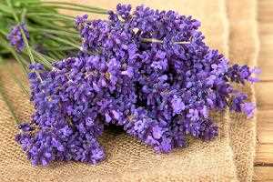 Lavendelsträußchen - gut gegen Kleidermotten